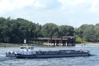 Tum-3-28-08-2023-Oosterhout-2.jpg