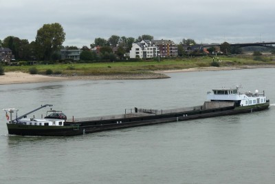 Maverick-2-08-10-2023-Nijmgen.JPG (120.12 Kio) Vu 662 fois Maverick-2-08-10-2023-Nijmgen.JPG