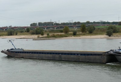 Schorpioen-3-08-10-2023-Nijmegen.JPG