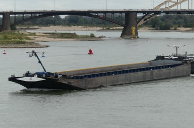 Schorpioen-2-08-10-2023-Nijmegen.JPG