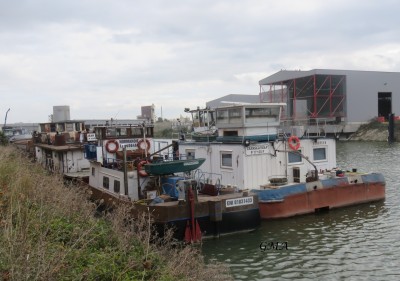 normandie+europeen+jean bart-bonneuil-12_10_2023.JPG (722.34 Kio) Vu 1886 fois normandie+europeen+jean bart-bonneuil-12_10_2023.JPG