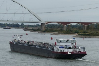 Otter-6-08-10-2023-Nijmegen.JPG (120.04 Kio) Vu 1679 fois Otter-6-08-10-2023-Nijmegen.JPG