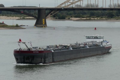 Otter-2-08-10-2023-Nijmegen.JPG (126.58 Kio) Vu 1679 fois Otter-2-08-10-2023-Nijmegen.JPG