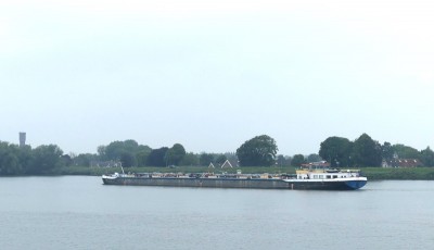 Linde-1-02-09-2023-Kinderdijk.JPG