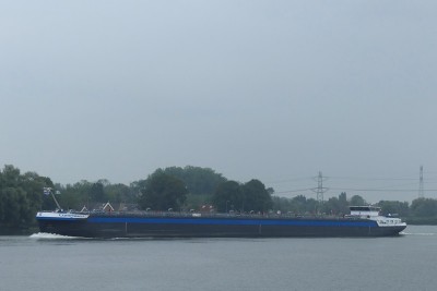 Componist-1-02-09-2023-Kinderdijk.JPG