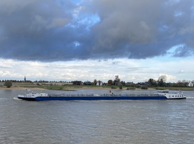 Blue-Olivia-2-11-11-2023-Nijmegen.jpg