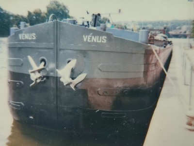 VENUS nez vide.jpg (98.36 Kio) Vu 942 fois VENUS nez vide.jpg