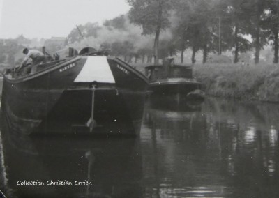 Martre.JPG (113 Kio) Vu 547 fois Martre.JPG