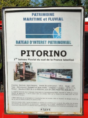 PITORINO Vagus 04.jpg
