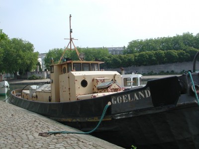 Goeland01.jpg