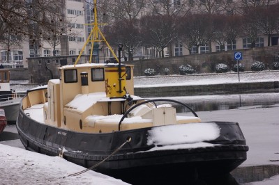 Goeland02.jpg (286.64 Kio) Vu 1424 fois Goeland02.jpg