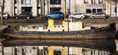 Goeland03.jpg (230.51 Kio) Vu 1424 fois Goeland03.jpg