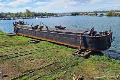 ZITA (03).jpg (561.21 Kio) Vu 2343 fois ZITA (03).jpg