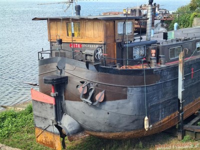 ZITA (06).jpg (487.76 Kio) Vu 2149 fois ZITA (06).jpg