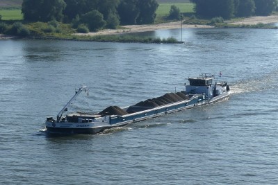 Diademar-1-23-08-2023-Ewijk.JPG