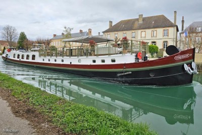 COQUELICOT - Tours-sur-Marne - mars 2024 (1).jpg (162.71 Kio) Vu 2927 fois COQUELICOT - Tours-sur-Marne - mars 2024 (1).jpg