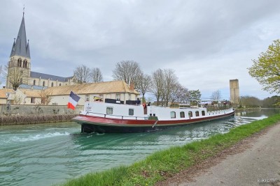 COQUELICOT - Tours-sur-Marne - mars 2024 (2).jpg (156.71 Kio) Vu 2927 fois COQUELICOT - Tours-sur-Marne - mars 2024 (2).jpg