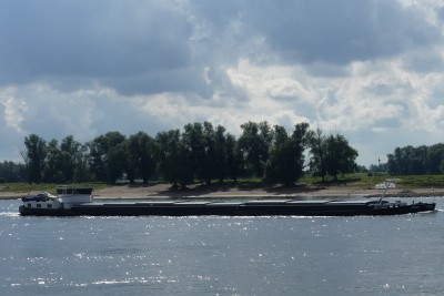 Denzo-1-28-08-2023-Slijk-Ewijk.JPG (142.67 Kio) Vu 823 fois Denzo-1-28-08-2023-Slijk-Ewijk.JPG