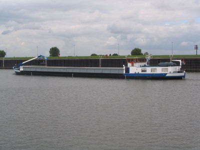 quo-vadis-4-15-08-2008.JPG