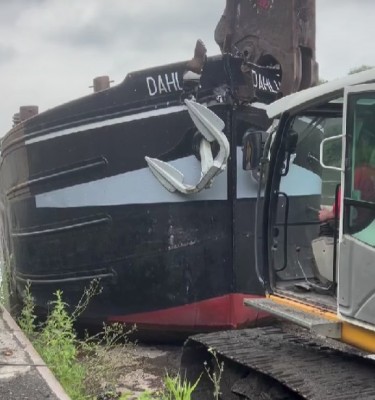 DAHLIA déchirage.jpg (66.52 Kio) Vu 1932 fois DAHLIA déchirage.jpg