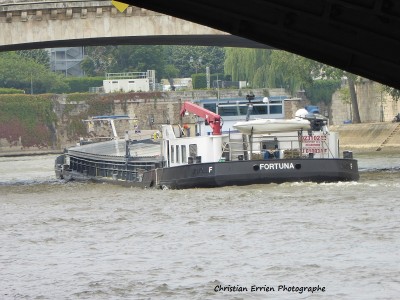 Fortuna alternat.JPG (220.84 Kio) Vu 1366 fois Fortuna alternat.JPG