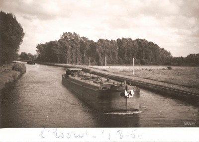 ROMANE sur l'Escaut le 11 août 1954.jpg