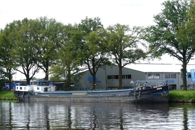 Elwil-3-31-05-2024-Oirschot.JPG