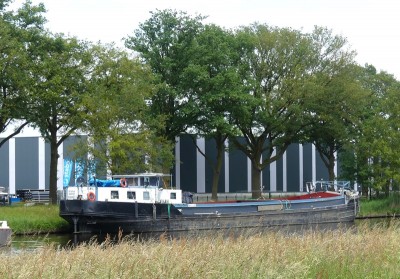 Elwil-2-31-05-2024-Oirschot.JPG