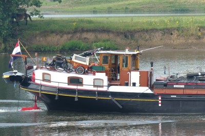 Excelsior-4-18-07-2024-Niftrik.JPG