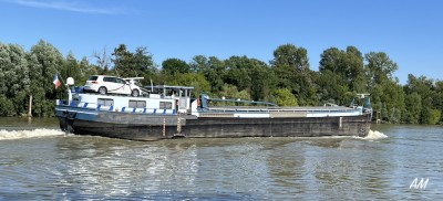 Vogel Griff b.jpg