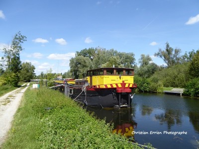 Flora Ailly sur Somme ar.JPG
