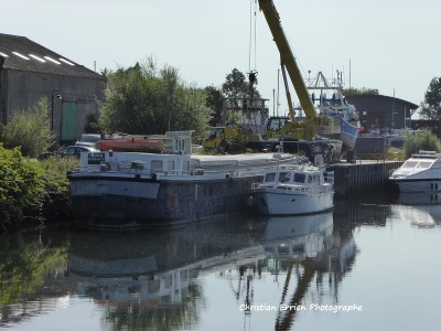 Iroko St Valery ar.JPG (183.79 Kio) Vu 2138 fois Iroko St Valery ar.JPG