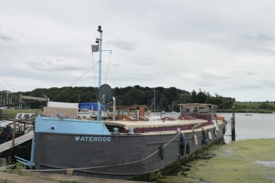 Waterdog - 1xa.jpg