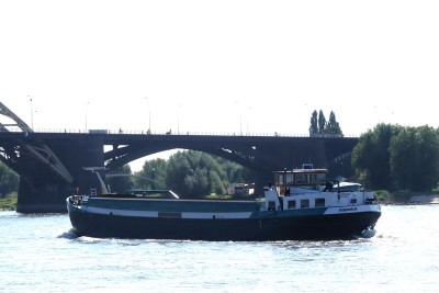 Zapata-3-27-08-2024-Nijmegen.JPG (92.89 Kio) Vu 604 fois Zapata-3-27-08-2024-Nijmegen.JPG