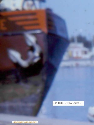 VELOCE Vagus 04.jpg