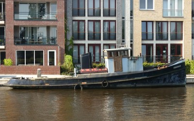 Eemshoorn-2-20-09-2024-Leiderdorp.JPG (183.53 Kio) Vu 1808 fois Eemshoorn-2-20-09-2024-Leiderdorp.JPG