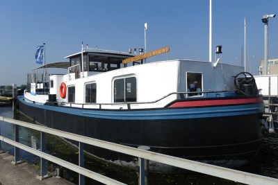 Lis-19-09-2024.JPG