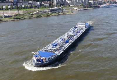 Meraki-4-27-08-2024-Nijmegen.JPG