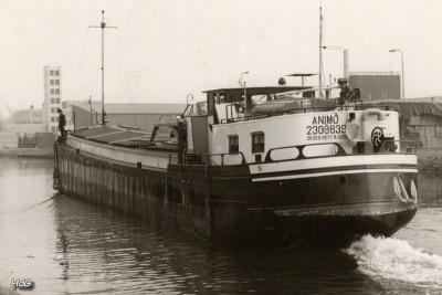 ANIMO.jpg (115.59 Kio) Vu 689 fois ANIMO.jpg