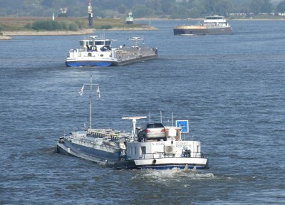 Rodort-10-3-27-08-2024-Nijmegen.JPG