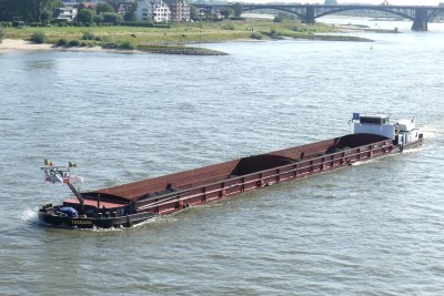 Tarkana-2-27-08-2024-Nijmegen.JPG