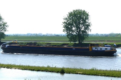 The-An-VII-3-01-05-2024-Niftrik.JPG