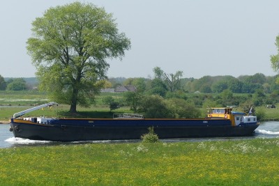 The-An-VII-1-01-05-2024-Niftrik.JPG