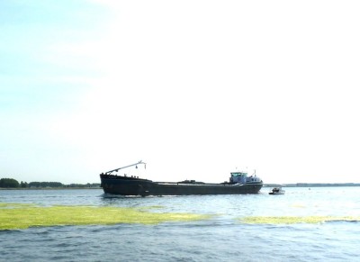 Quarta-1-02-07-2010-Pampus.JPG