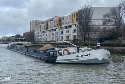 Gwenaucé F2.jpg