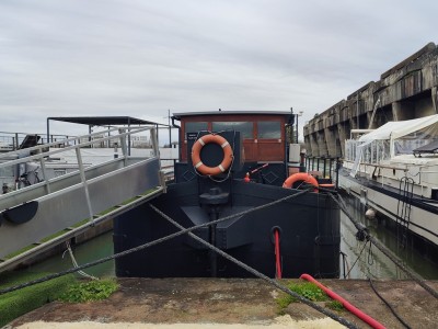 06Fleur_d'O01.jpg (250.42 Kio) Vu 4903 fois 06Fleur_d'O01.jpg