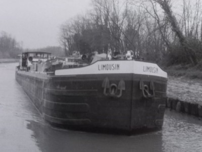 Limousin01.JPG