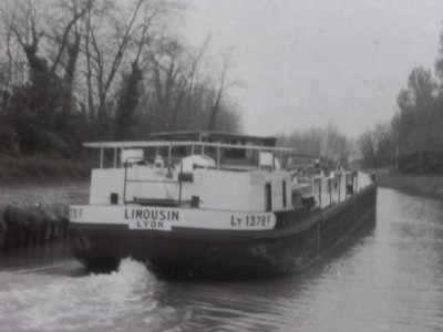 Limousin02.JPG