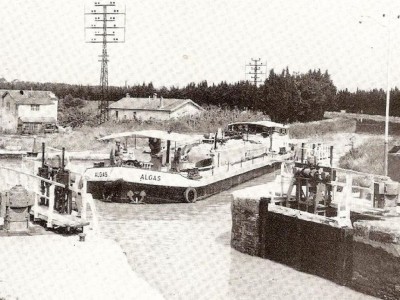 Algas.jpg (296.95 Kio) Vu 668 fois Algas.jpg