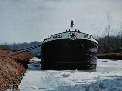 Artois 201.jpg